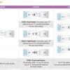 Prueba rápida de anticuerpos IgG e IgM de SARS-CoV-2-Pack 25 test