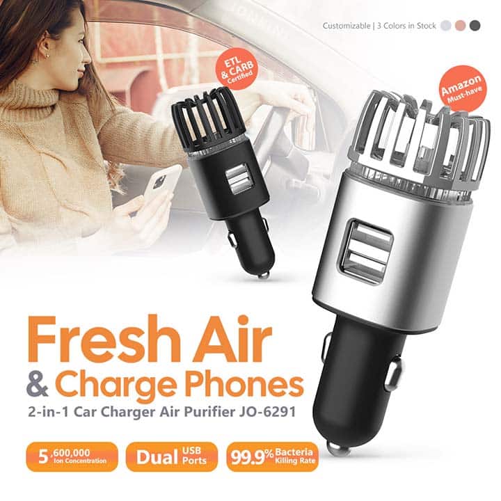 Professional car on sale ionizer