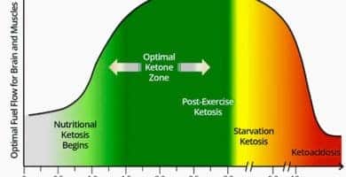 Medidor de cetosis de respiración portátil Analizador de aliento de cetona  profesional Probador de aliento de cetona digital para pruebas de cetosis